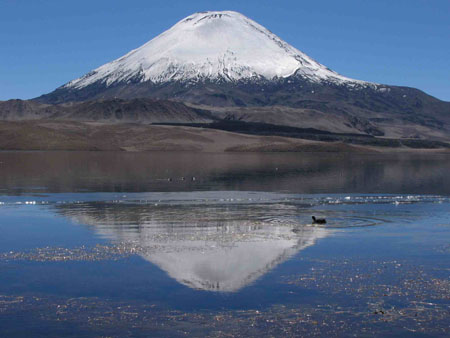 Parc Naturel de Lauca