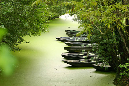 alignement de barques dans une conche
