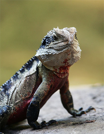 Et vous trouvez �a dr�le ?