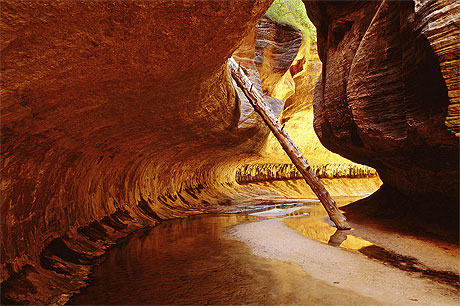 Left Fork of North Creek