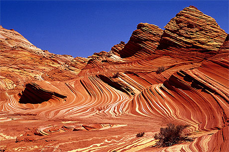 Zig Zag 