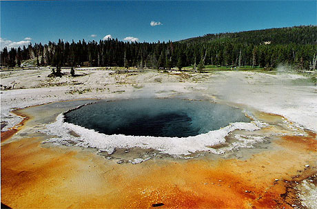 Geyser