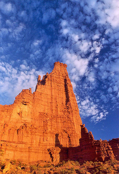 Les Fisher Towers en fin d'apr�s midi.