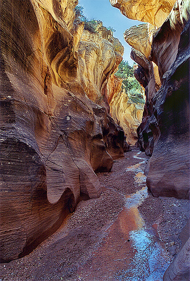 Willis Creek Canyon