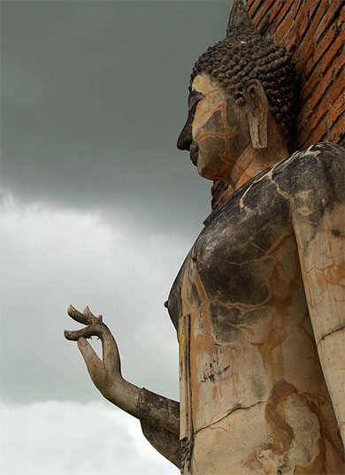 Buddah en marche