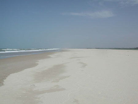 L'immensit� des plages