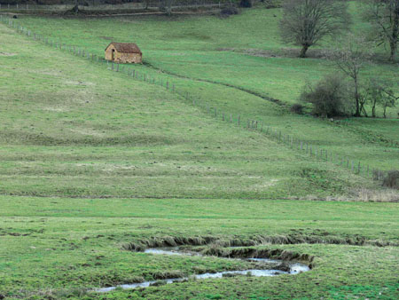 solitude