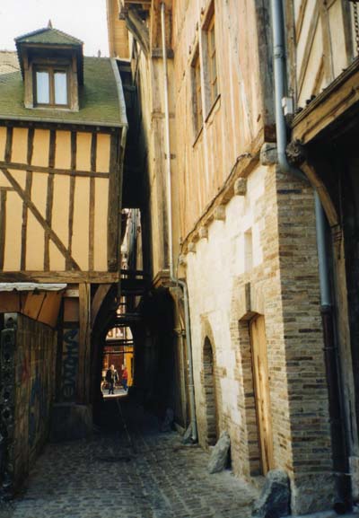 la ruelle des chats