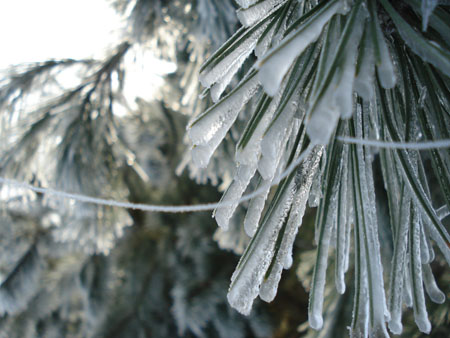 Hiver