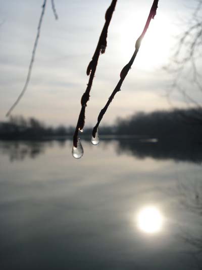 Soleil et glace