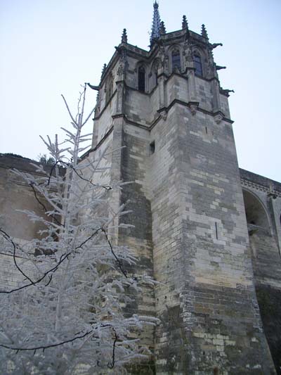 ch�teau d'Amboise
