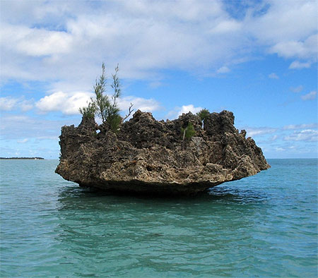 Rocher du lagon de l'�le aux b�nitiers