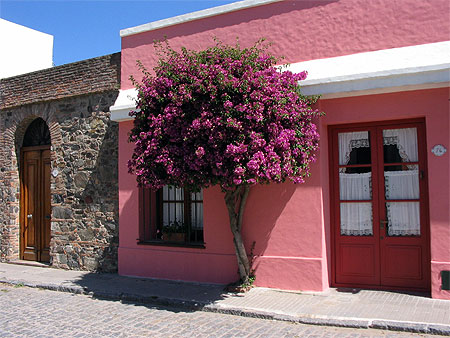 Dans la Rue, Colonia del Sacramento