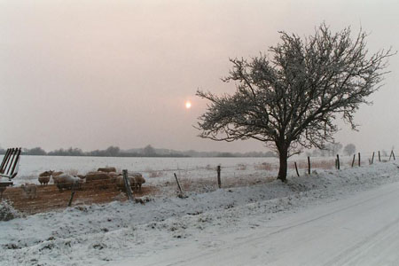 le Berry sous la neige
