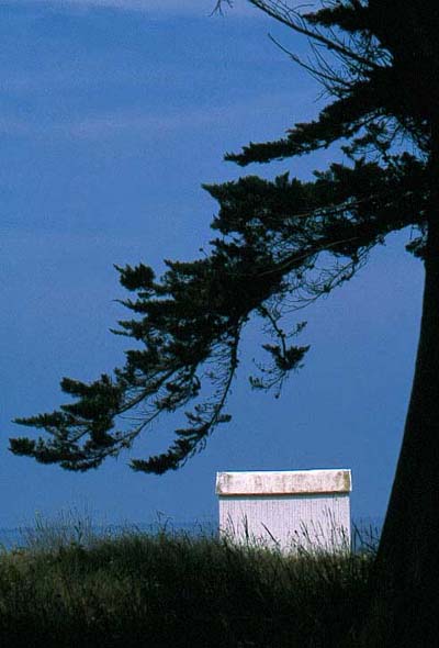 Ile d'Yeu, cabane de plage 