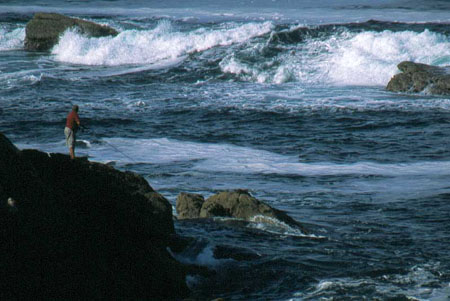 Ile d'Yeu, p�cheur
