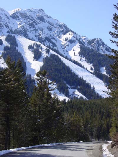 mtn norquay