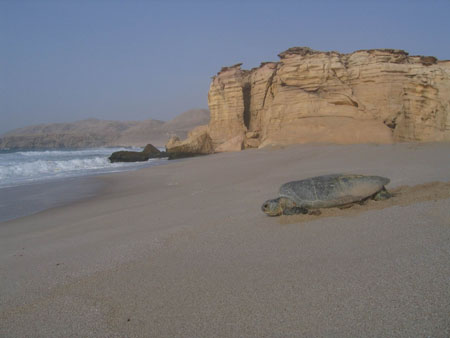 Retour � la mer