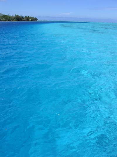 Lagon