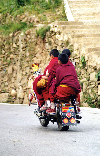 4 moines tib�tains sur une moto 