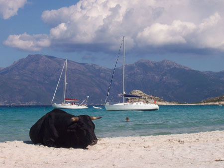 plage du Lodo
