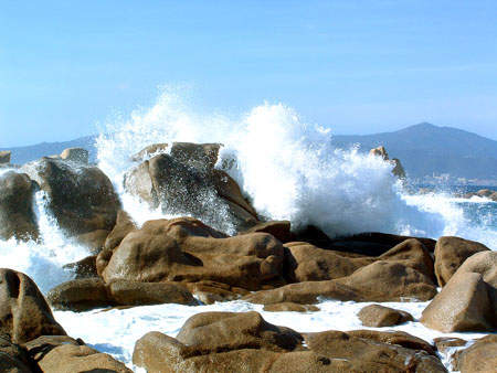 Corse sauvage