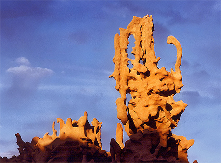 D�licates sculptures naturelles