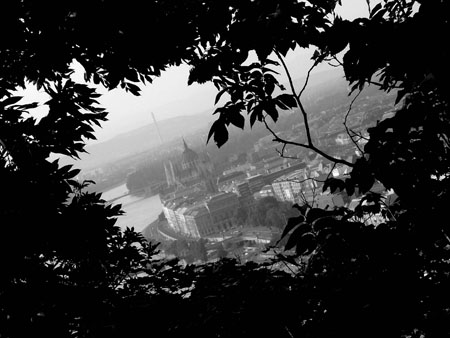 Budapest � travers le feuillage