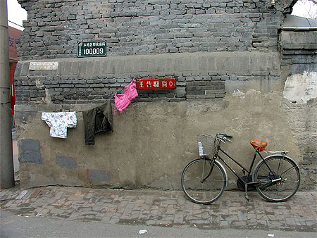 Rue 100009