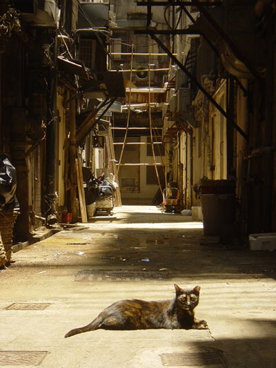 Ruelle de Wan Chai