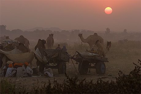 couch� de soleil � la foire de Pushkar
