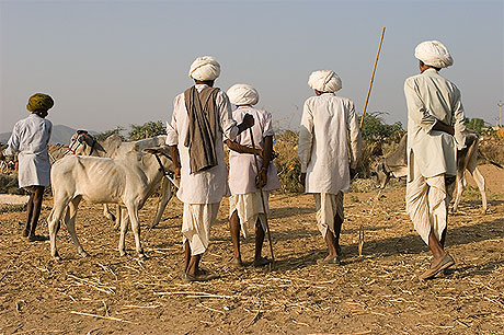 Les gardiens de la foire de Pushkar