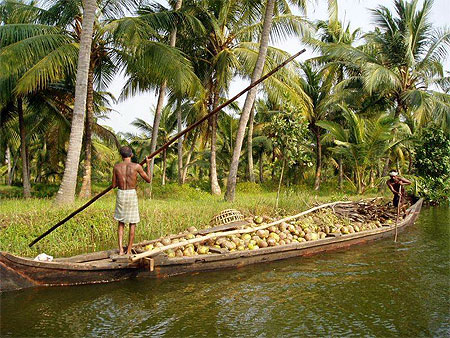Sur les backwaters