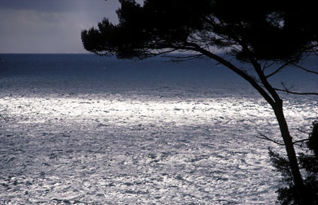 La p�ninsule de Portofino en Italie