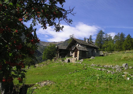 VILLAGE WALSER