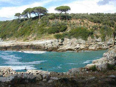 Au hasard d'une promenade