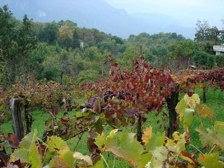 couleurs d'automne