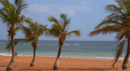 plage artificielle