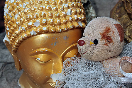 Le Bouddha et l'ours en peluche: cimeti�re des dieux