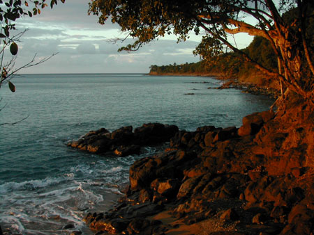 Bois d'ocre