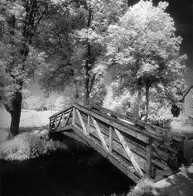 Passerelle en bois