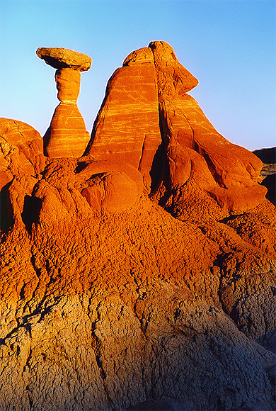 Toadstool Hoodoo