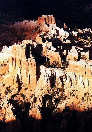 Spot de lumi�re � Bryce Canyon