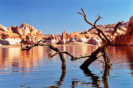 Lake Powell