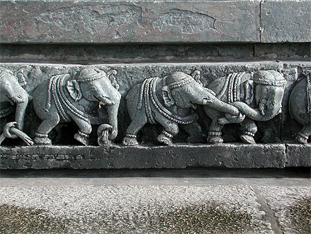 Ronde d'�l�phants
