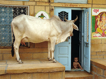 Incredible India
