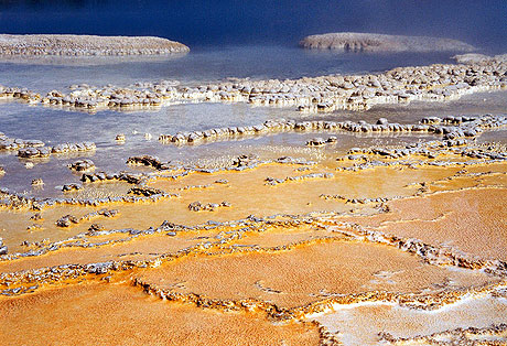 Au pied d'un geyser � Yellowstone