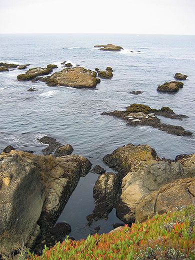 C�te pacifique en direction de Carmel
