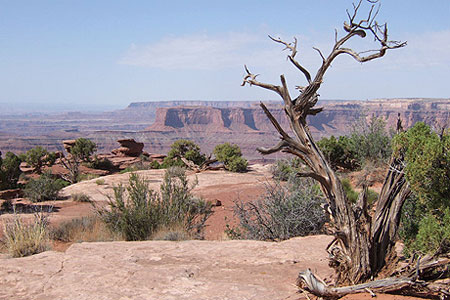 Dead Horse Point State Park