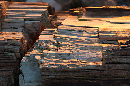 roches de petrified forest